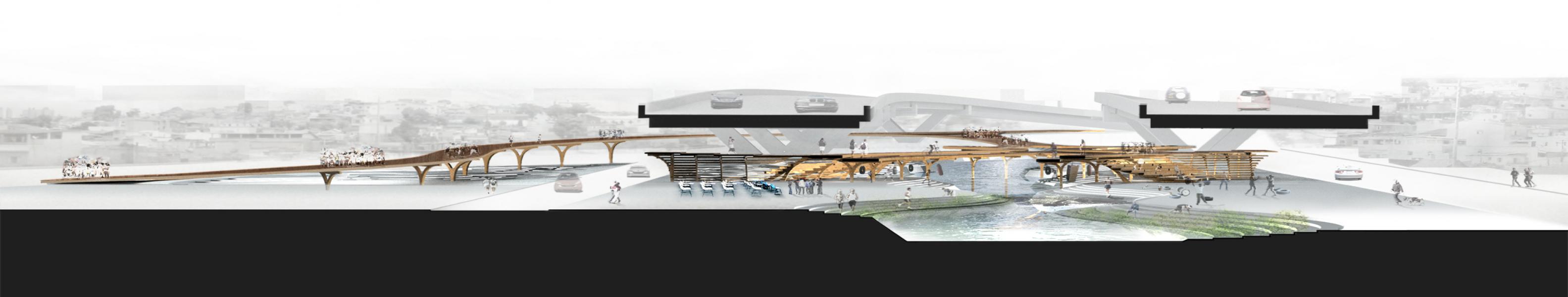 section view